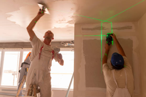 Best Airborne Mold Testing  in Big Rapids, MI