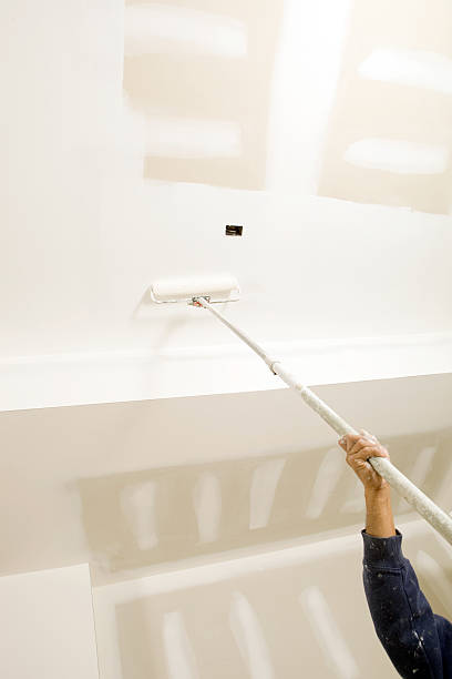 Best Air Quality Testing for Mold Spores  in Big Rapids, MI