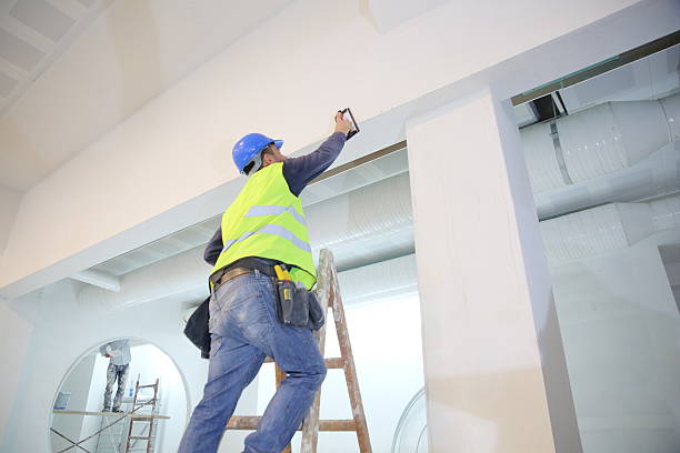 Best Crawl Space Mold Remediation  in Big Rapids, MI
